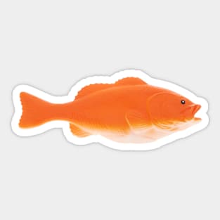 Plastic fish Sticker